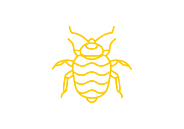 Bed Bug control
