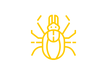 Ticks